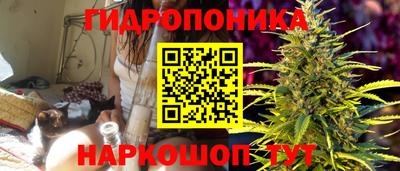 наркотики Шебекино