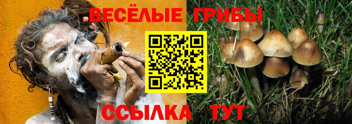 Галлюциногенные грибы Psilocybe  Псилоцибиновые грибы Psilocybine cubensis  Вход с VPN  Киров 